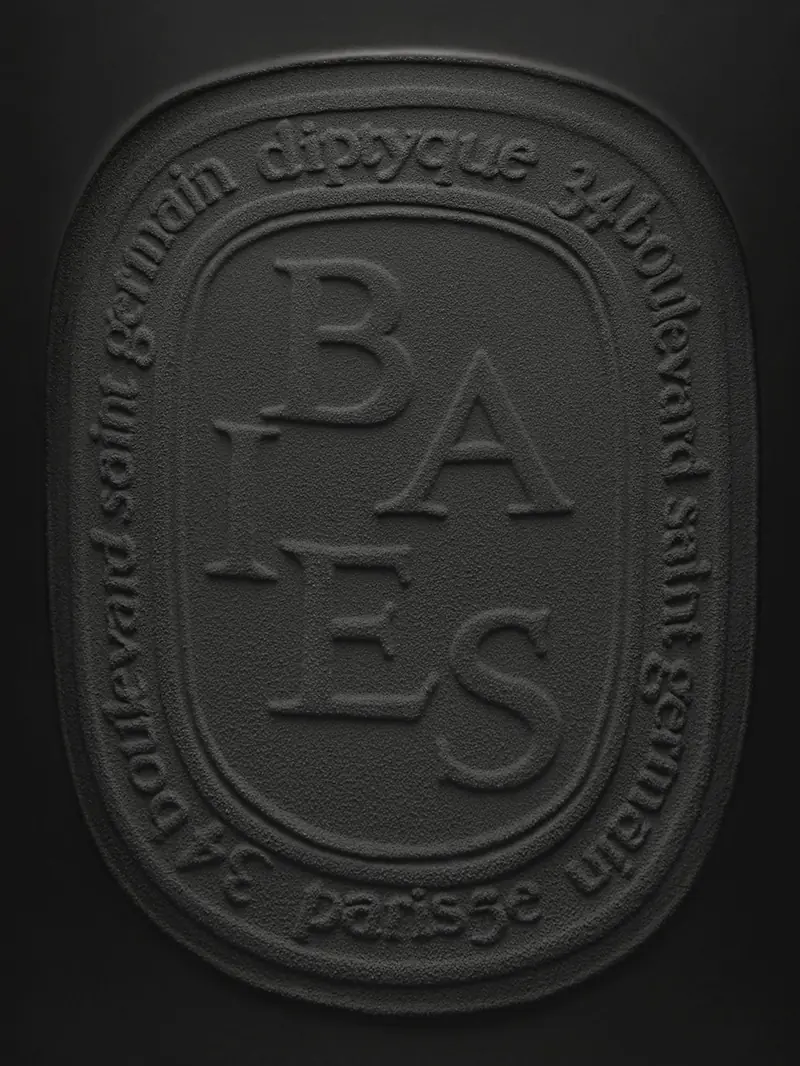 Diptyque Scented Candle 1500g, photo 3 of 3