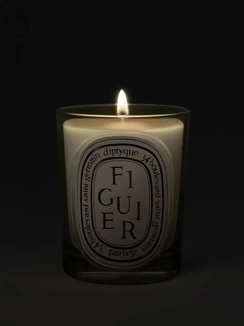 Diptyque Scented Candle 190g in Figuier, photo 2 of 3